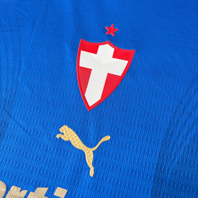 Camisa Palmeiras 3 26/27 Jogador Masculino