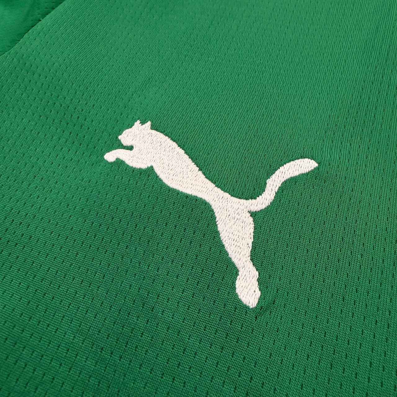 Camisa Palmeiras Home 26/27 Torcedor Masculino